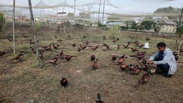 अवकाशपछि कालिजपालनमा रमाउँदै