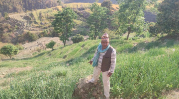 डोटीमा प्याजखेतीप्रति बढ्दो आकर्षण