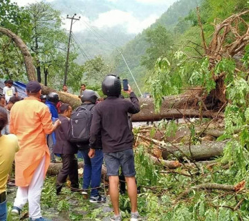 हावाहुरीले बिजुलीको पोल ढालेपछि मुग्लिन-काठमाडौं सडक अवरुद्ध