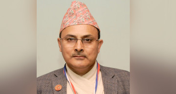 बीमा समितिका कार्यकारी निर्देशक पौडेल कर्मचारी सञ्चय कोषको सञ्चालकमा नियुक्त