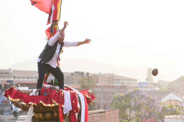 रातो मच्छिन्द्रनाथको रथबाट नरिवल खसालियो (तस्वीरहरू) 