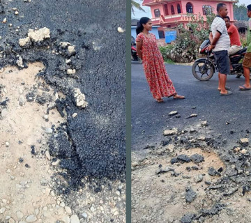पिच गरेको भोलिपल्टै सडक जीर्ण, बर्दिबासका स्थानीय आन्दाेलित