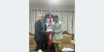 विपिन जोशीको सकुशल रिहाइका निम्ति सभामुखको अनुरोध