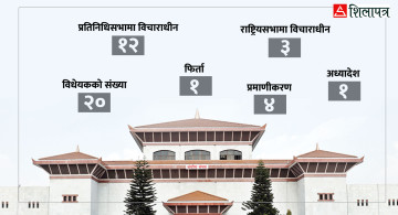 सांसदको प्राथमिकतामा परेन विधेयक, ९ महिनामा एउटा विधेयक प्रमाणीकरण