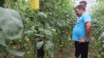 विदेशमा पाँच वर्ष बिताएपछि आफ्नै गाउँ फर्किएर कृषिमा रमाएका जिसी