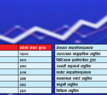 नाटकीय रूपमा बढेको शेयरबजारमा एकै दिन ४३ कम्पनीको शेयरमूल्यमा सर्किट, यी कम्पनीले कमाए