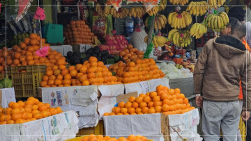 सुन्तला उत्पादन घटे पनि मूल्य वृद्धि हुँदा किसान उत्साहित