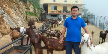 निर्माण व्यवसायी चन्दको लोभलाग्दो बाख्रापालन