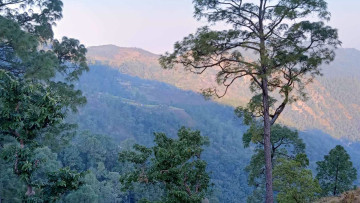 बर्दिया राष्ट्रिय निकुञ्जमा सिकार खेल्न गएका सुर्खेतका ६ जना सम्पर्कविहीन, एक जनाको मृत्यु भएको आंशका