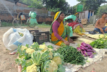 भारतबाट आउने तरकारीका कारण नेपाली किसान समस्यामा