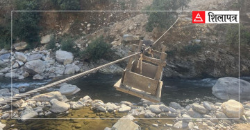 कर्णालीमा भेटिए ५४ तुइन, पाँच वर्षमा थपिँदै छन् ४९६ झोलुङ्गे पुल 