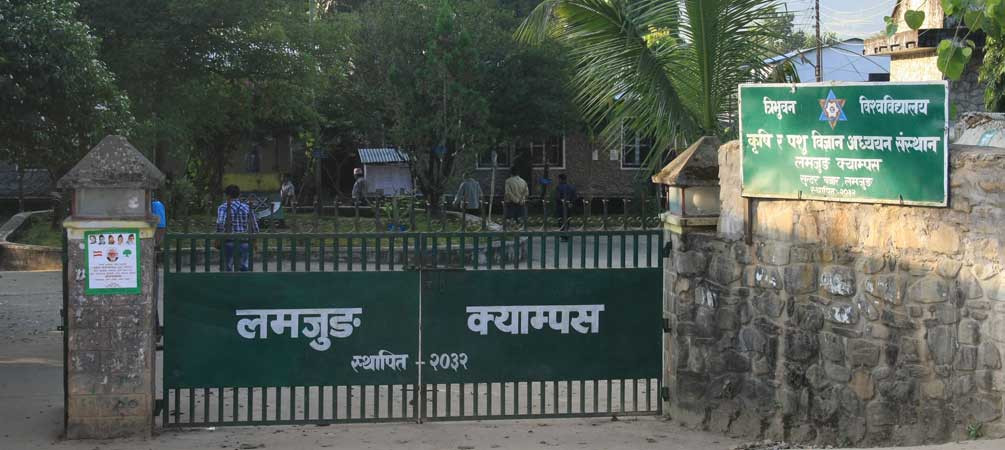 लमजुङ कृषि क्याम्पसमा नेविसंघ र अखिलका विद्यार्थीबीच कुटाकुट, चार जना घाइते