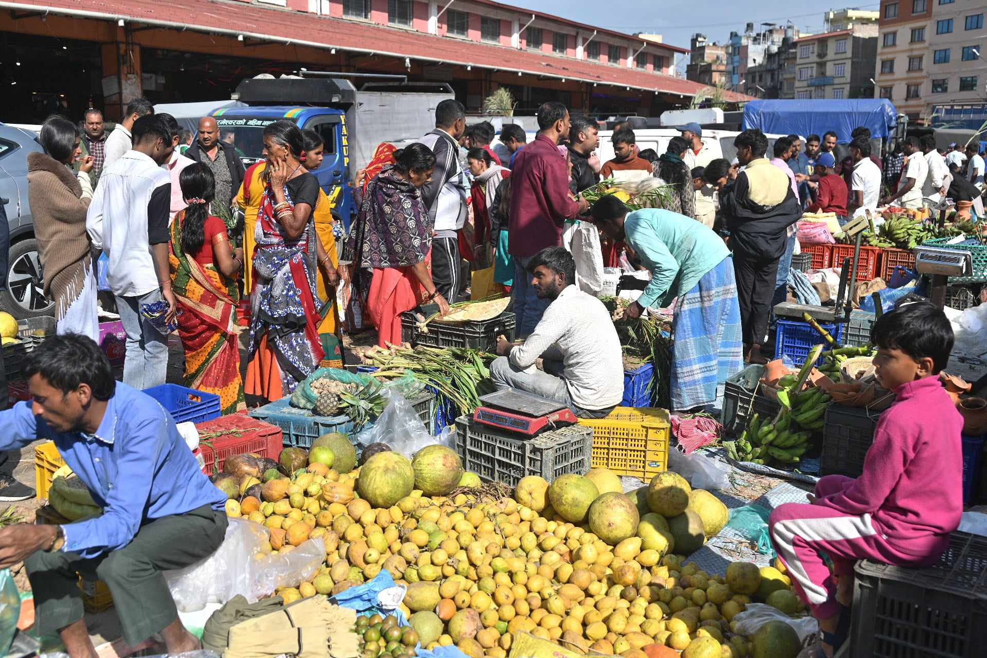 कालीमाटीमा छठपूजाका लागि सामग्री किन्नेको घुइँचो (फोटो फिचर) 