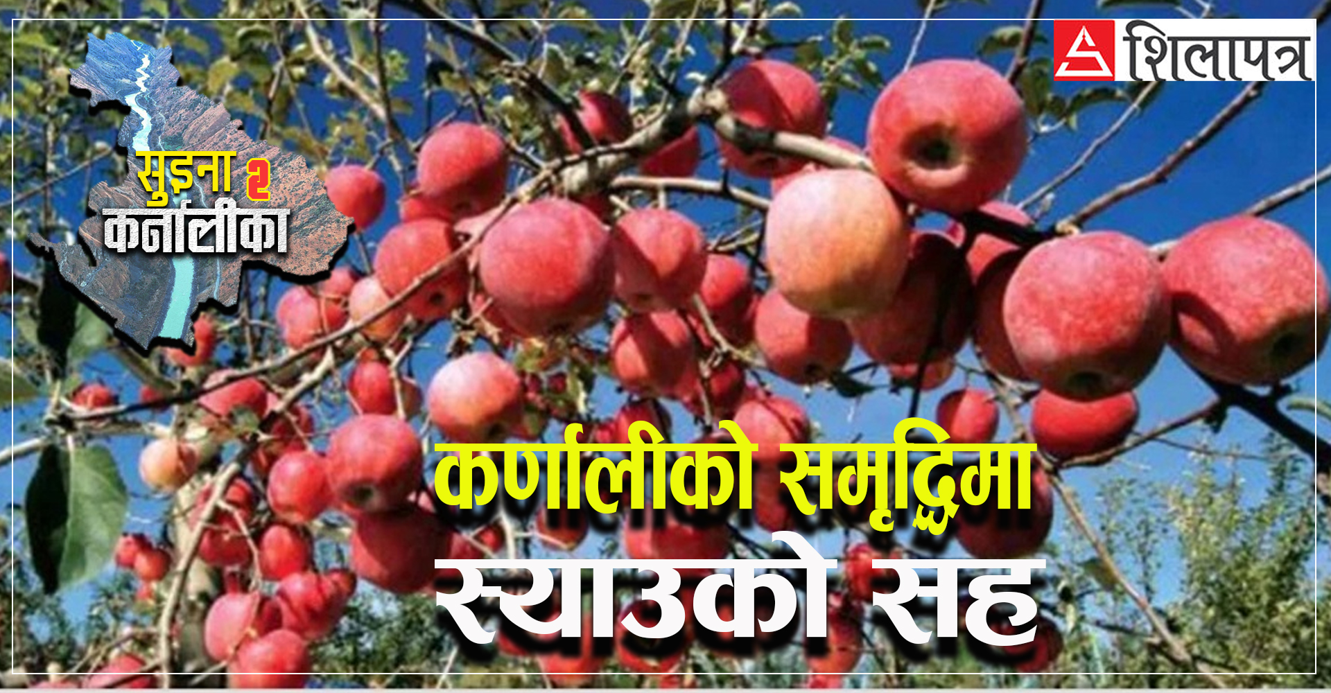 जुम्लामा स्याउ मात्रै होइन, कर्णालीको भविष्य पनि फल्दै छ