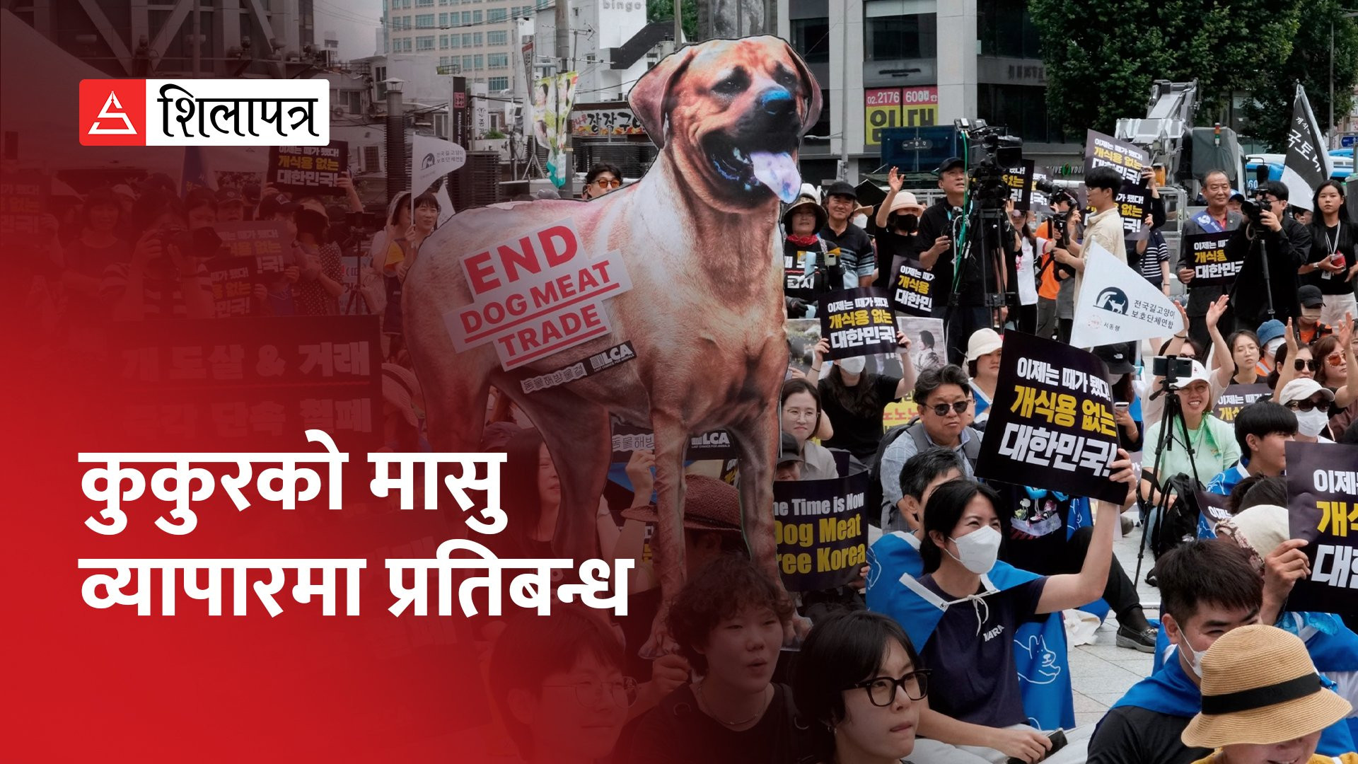 दक्षिण कोरियाले कुकुरको मासु व्यापारमा प्रतिबन्ध लगाउने कानुन पारित गर्‍यो (भिडियो)