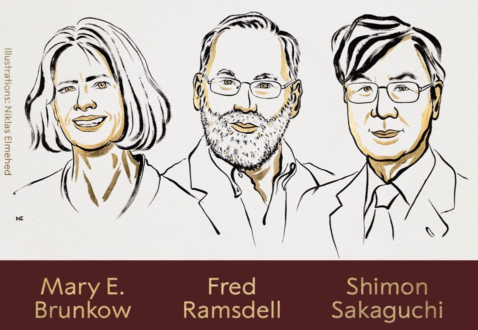 शरीरको रक्षा प्रणालीबारे अनुसन्धान गर्ने तीन वैज्ञानिकलाई चिकित्सातर्फको नोबेल पुरस्कार