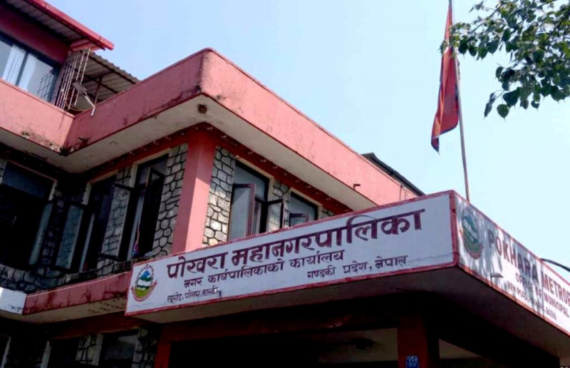 पोखरा महानगरद्वारा पशुपालनका लागि १ करोड ४६ लाख विनियोजन
