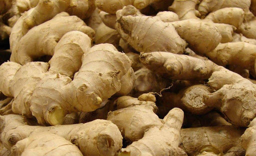 अदुवाखेती गर्न थालेपछि बाँदर हराउँदै