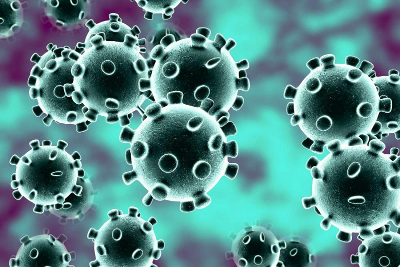 Global virus deaths pass 650,000 as new surges prompt fresh curbs   