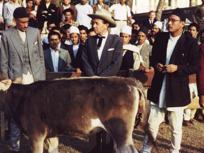 जंगबहादुरले सुरु गरेको विदेशी साँढे ल्याउने चलन महेन्द्रले स्थापित गरे