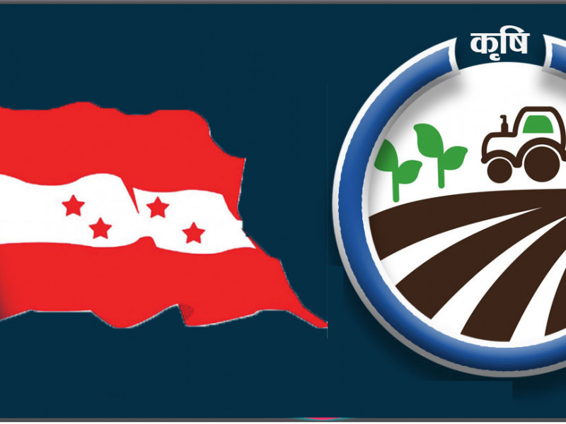 कांग्रेसका किसान केन्द्रित वाचा:  किसान कल्याण, अनुदान, सहयता र सहुलियतका योजना