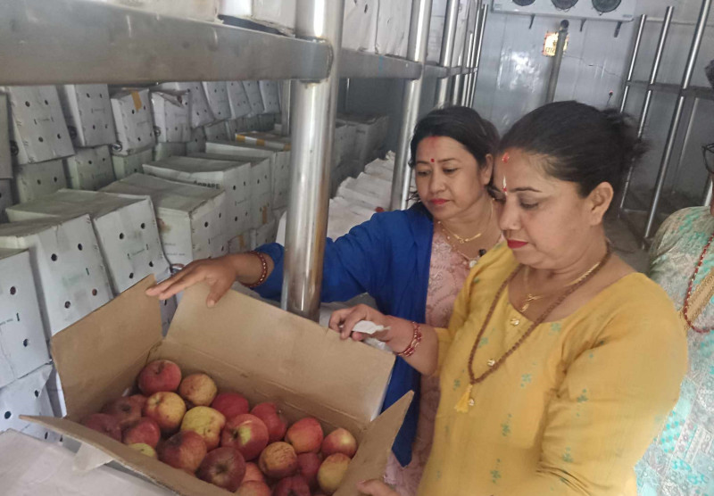 सञ्चालनमा आए सरकारी लगानीका ‘कोल्ड स्टोर’,  अधिकांशमा प्राविधिक ज्ञानसँगै विद्युत्‌को समस्या