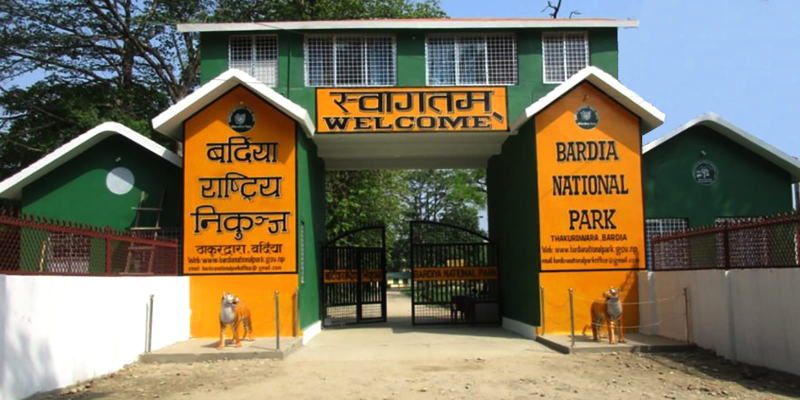 मृतक सिकारी खोज्न खटियो बर्दिया राष्ट्रिय निकुञ्जको टोली