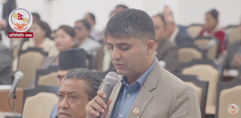बाँदरको बन्ध्याकरण गर्न सांसद लामिछानेको आग्रह