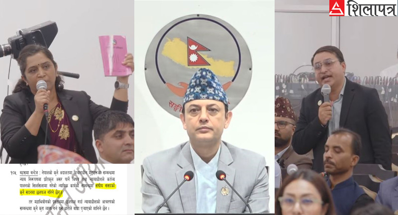 संविधानविपरीत सांसदको धारणा, सभामुखको अनदेखा
