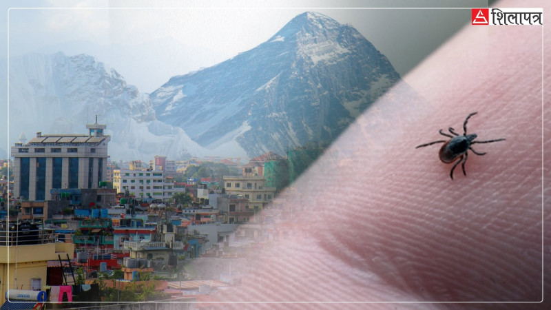 ७४ जिल्लामा फैलियो स्क्रब टाइफस : समयमै उपचार भए निको हुन्छ, नत्र ज्यानै लिन्छ