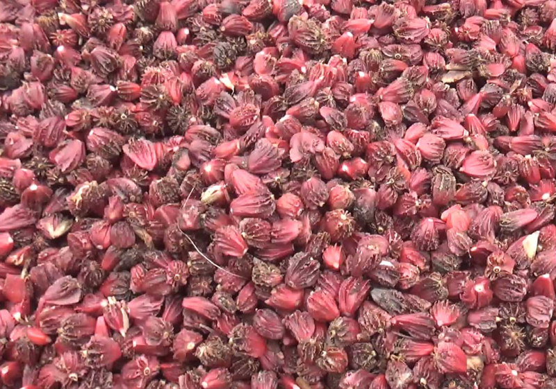 अलैँचीको निर्यात ६० प्रतिशतले बढ्यो