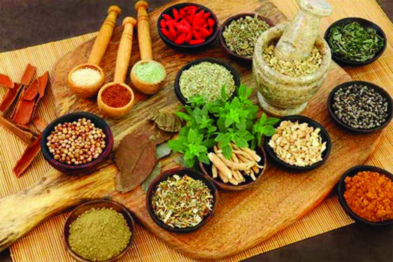 कोरोनामा आयुर्वेदिक औषधिको अनुसन्धान सुरु