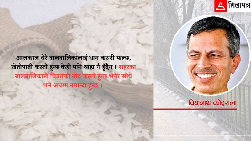 यो दसैँमा चिउराको बोट कस्तो हुन्छ भनेर आफ्नो बच्चालाई सिकाऔँ