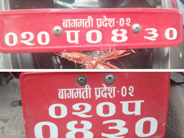 सावधान ! नम्बर प्लेटको कारण कारबाहीमा परिएला