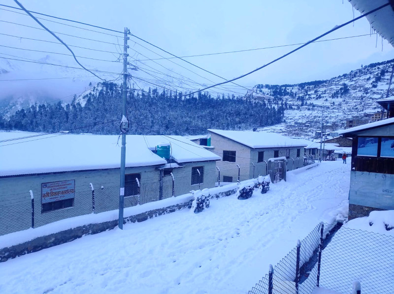 तराईमा कुहिरो तथा हिमालमा हल्का वर्षा र हिमपातको सम्भावना