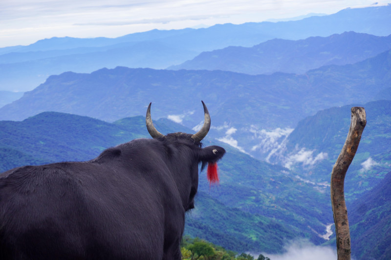 जाने होइन त तिम्बुङ पोखरी ? (फोटो फिचर)