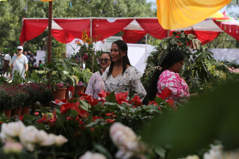 फ्लोरिकल्चर एसोसिएसन नेपालको आयोजनामा बिहीबारदेखि काठमाडौंमा ‘२७औँ फ्लोरा एक्स्पो’ हुने