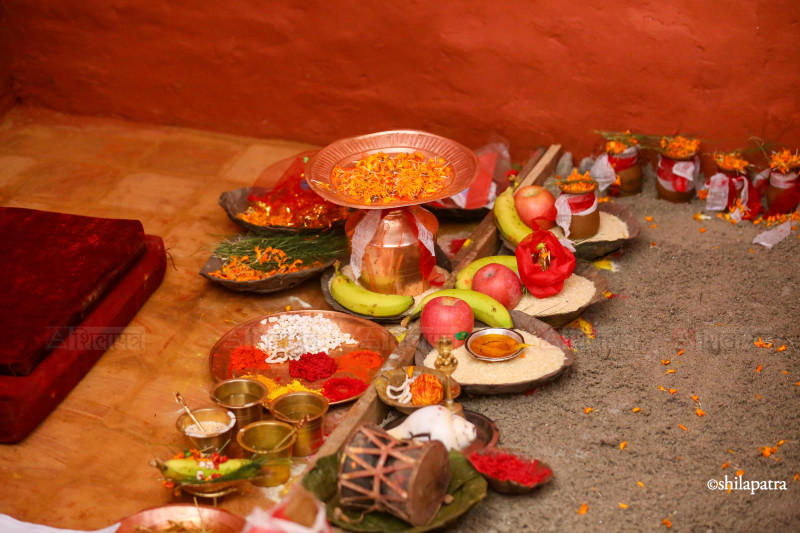 हनुमानढोकाको दसैँघरमा राखियो जमरा (तस्वीरहरू)