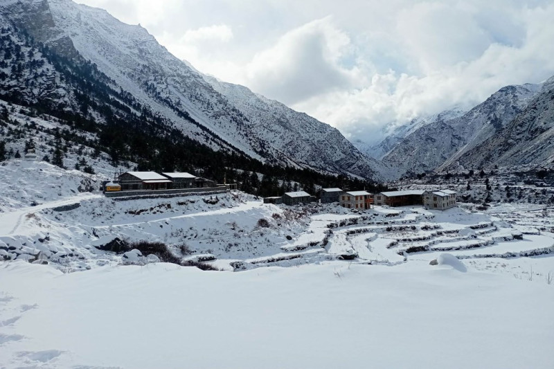 हुम्लामा भारी हिमपात, किसान हर्षित