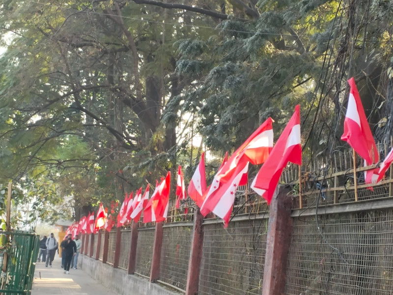 कांग्रेसका झण्डाले सिँगारिए काठमाडाैंका सडक