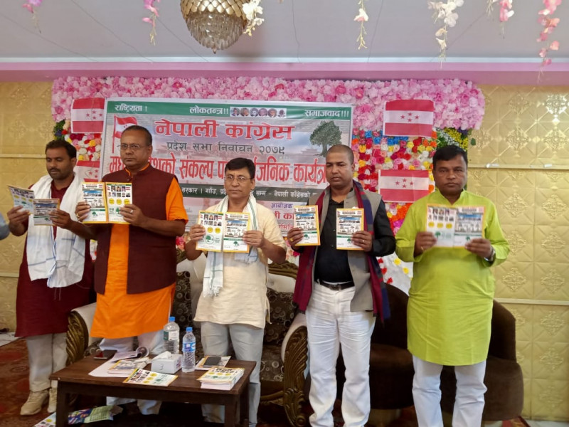 मधेस कांग्रेसले ल्यायो चुनावी घोषणापत्र