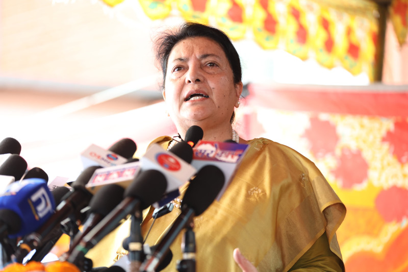 एमालेसहितका दलहरूलाई पूर्वराष्ट्रपति भण्डारीले उठाइन् १३  प्रश्न