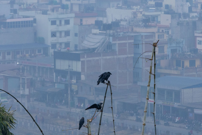 लुम्बिनी र सुदूरपश्चिम प्रदेशका तराई क्षेत्रमा तातो लहर चल्ने