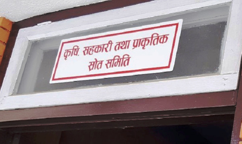 विद्युत् आयोजनामा सहजकर्ताको भूमिका निर्वाह गर्न वन मन्त्रालयलाई निर्देशन