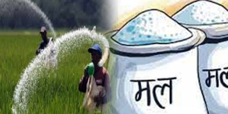 फागुनमा ल्याउनुपर्ने रासायनिक मल अझै आएन, कृषि मन्त्रालयकै अधिकारी भन्छन्– अर्को सातादेखि हाहाकार हुनसक्छ