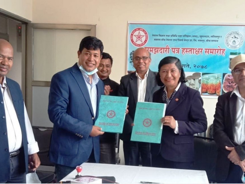 च्याउको अनुसन्धानका लागि नास्ट र मसरुम सिड नेपालबीच सम्झौता