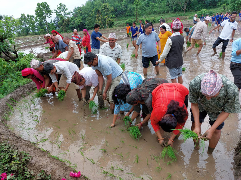 पानी परेपछि दाङका किसान खुसी