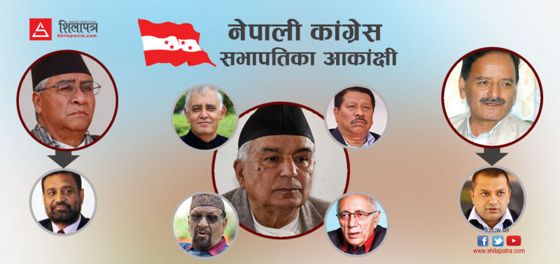 संस्थापनबाट २, पौडेल खेमाका ५ र सिटौलानिकटका २ जना सभापतिका आकांक्षी 
