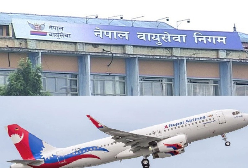 वायुसेवा निगमसहित १५ सरकारी संस्थान घाटामा