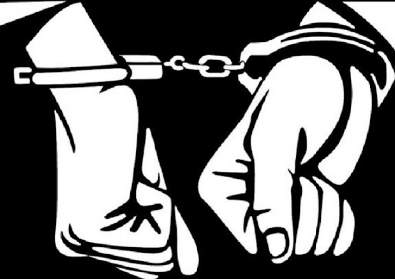 बाँकेमा ५२ लाखकाे काठ हिनामिना, सामुदायिक वनका अध्यक्षसहित आठ जना समातिए